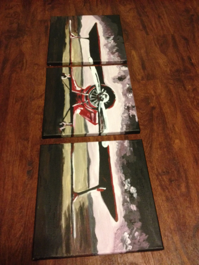 FREE SHIPPING - 3 Piece Airplane in Field