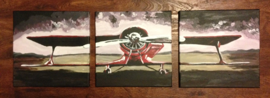 FREE SHIPPING - 3 Piece Airplane in Field