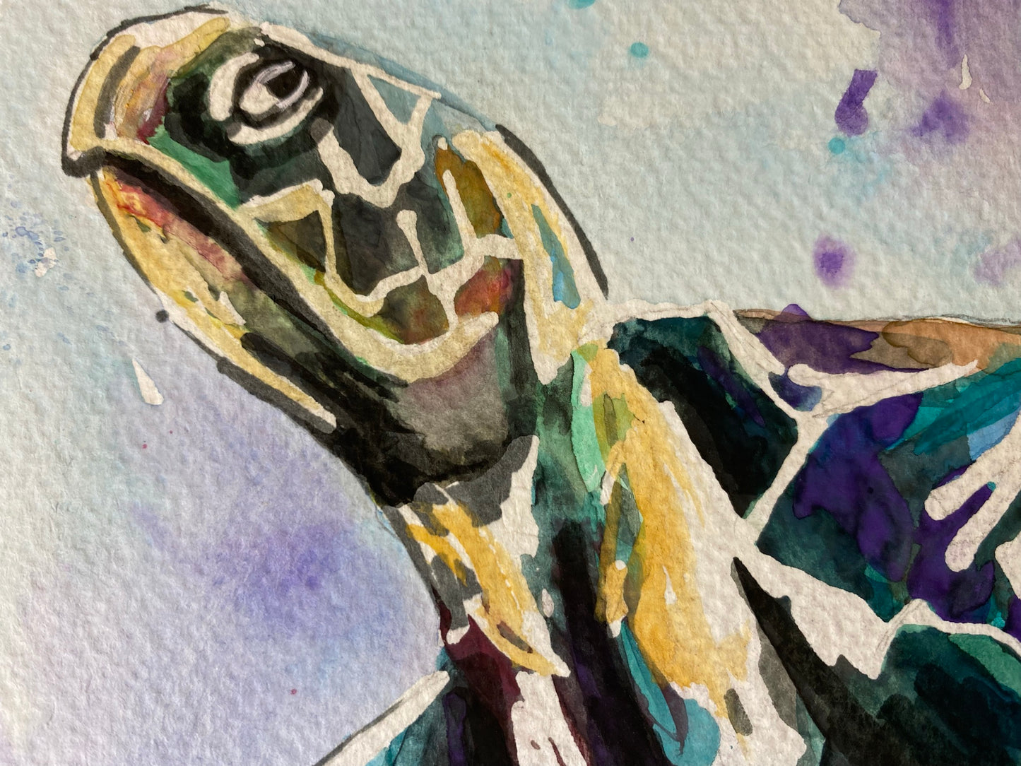 FREE SHIPPING Print from Hand Painted Watercolor 11x14 Unframed Sea Turtle
